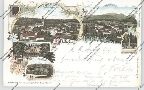 NIEDER - SCHLESIEN - BAD CHARLOTTENBRUNN / JEDLINA ZDROJ (Waldenburg), Lithographie 1897, 5 Ansichten