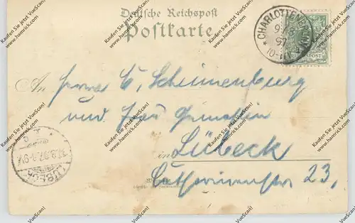 NIEDER - SCHLESIEN - BAD CHARLOTTENBRUNN / JEDLINA ZDROJ (Waldenburg), Lithographie 1897, 5 Ansichten