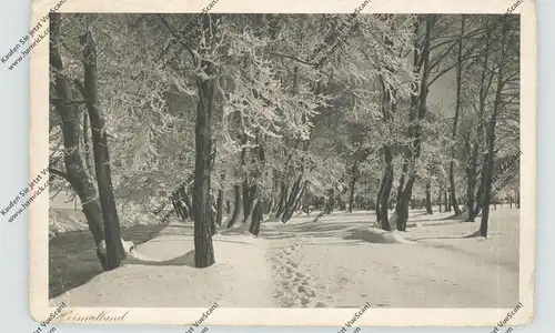 CH 7250 KLOSTERS GR, "Raureif", Photograph Walty - Klosters, kl. Eckknick