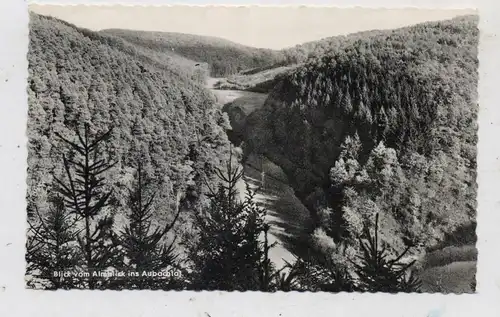 5455 RENGSDORF - HARDERT, Blick in das Aubachtal, 1965