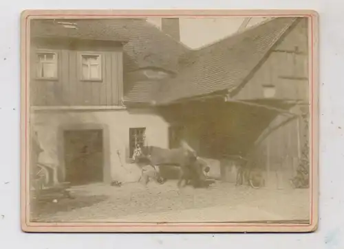 TIERE - PFERDE, Hufschmied bei der Arbeit, Hartphoto 12 x 9 cm, ca. 1900