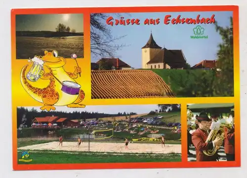 SPORT - VOLLEYBALL;  Echsenbach / A