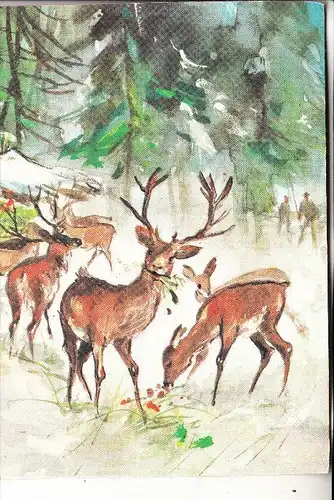 JAGD - HUNTING - JACHT - CHASSE - CACCIA - CAZA - LOWIECTWO - Hirsch/Rehe Künstler Karte