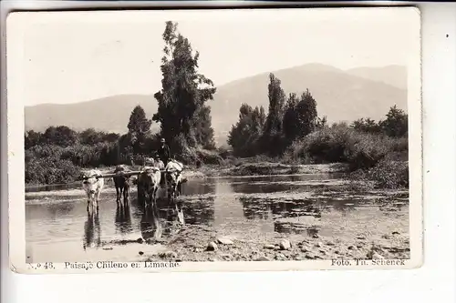 CHILE, Paisaje Chilen en Limache