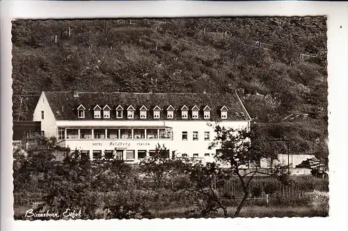 5530 GEROLSTEIN -  BIRRESBORN, Hotel Pension Goldberg