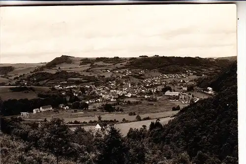 5580 TRABEN - TRARBACH - BENGEL, Haus Springiersbach