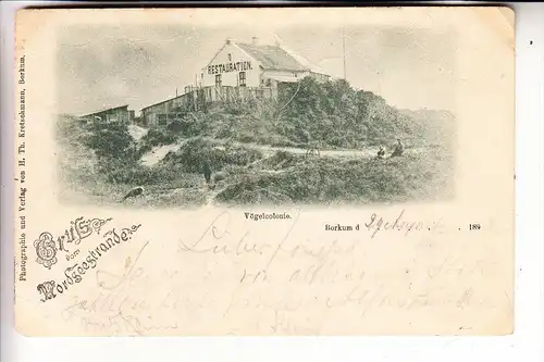 2972 BORKUM, Vogelcolonie, Restauration, 1898