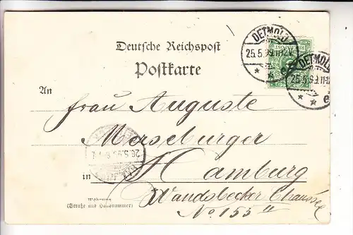 4930 DETMOLD, Externsteine, Gruss aus...1899