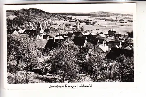 6251 WALDBRUNN - FUSSINGEN, Panorama, 1959