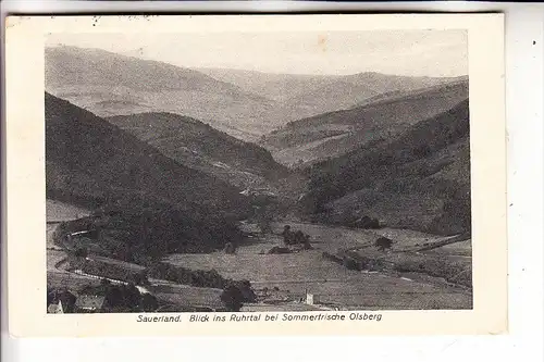 5787 OLSBERG, Blick ins Ruhrtal, 1926