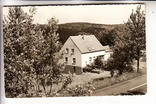 5521 NEIDENBACH, Gasthaus "Schneebergerschenke", kl. Einriss