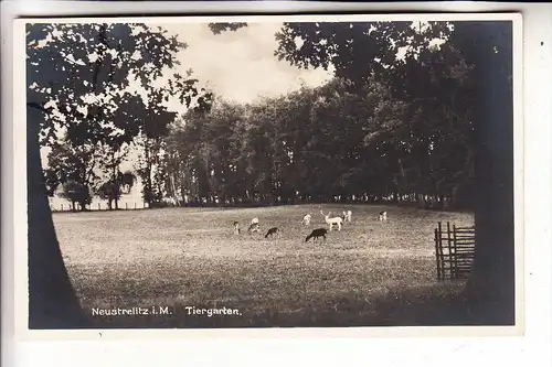 0-2080 NEUSTRELITZ, Tiergarten, 1935