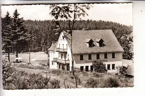 5920 BAD BERLEBURG - LAIBACH, Hotel Pension "Erholung", Landpoststempel, 1960