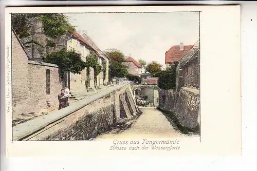 0-3504 TANGERMÜNDE, Strasse nach der Wasserpforte, ca. 1905, color