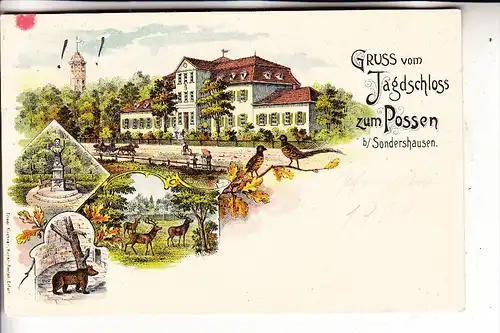 0-5400 SONDERSHAUSEN, Gruss vom Jagdschloss zum Possen, Lithographie, 1904, kl. Farbfleck