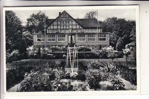 4934 HORN - BAD MEINBERG, Hotel Pension "Drei Linden", 1954