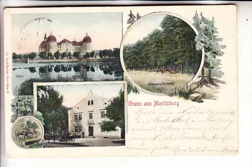 0-8000 DRESDEN - MORITZBURG, Gasthof "Au bon marche", 1903