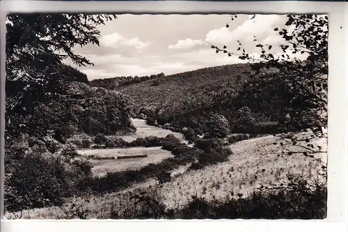 5240 BETZDORF, Immhäuser Tal