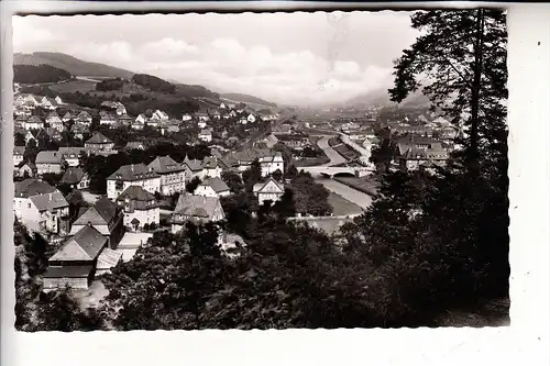 5778 MESCHEDE, Panorama, 1957