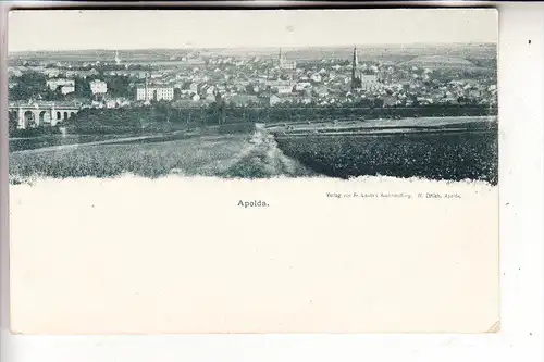 0-5320 APOLDA, Panorama, ca. 1905