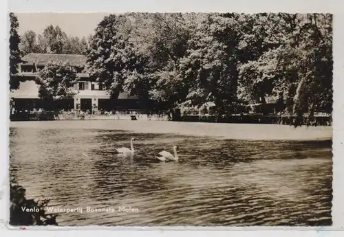 LIMBURG - VENLO, Bovenste Molen, Waterpartij, 1960