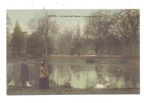 F 44000 NANTES, Le Jardin des Plantes, La grande piede d'eau