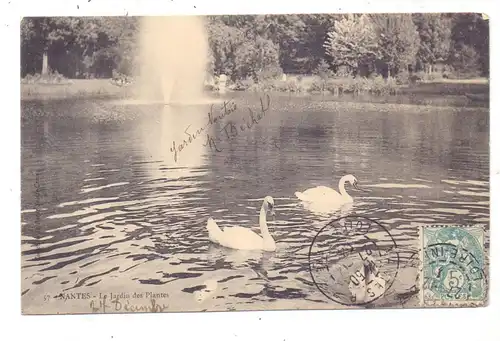 F 44000 NANTES, Le Jardin des Plantes, Cygnes, Tax porto / Nachgebühr