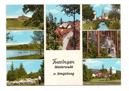 6251 WALDBRUNN - FUSSINGEN / Westerwald, Mehrbild-AK
