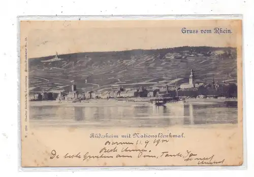 6220 RÜDESHEIM mit Nationaldenkmal, Bernhoeft, 1900