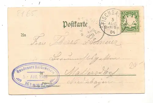 8165 FISCHBACHAU - BIRKENSTEIN, Madonna, Gnadenbild, 1904
