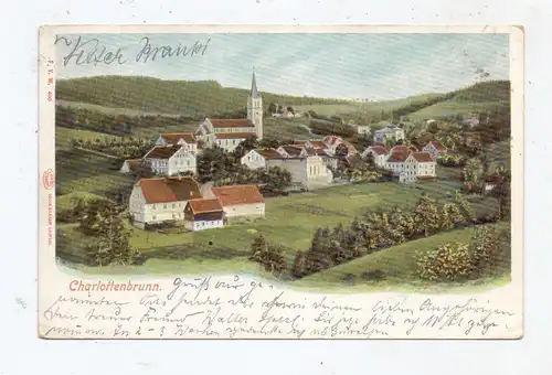 NIEDER - SCHLESIEN - CHARLOTTENBRUNN / JEDLINA ZDROJ (Waldenburg), 1903, color