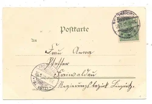 NIEDER - SCHLESIEN - HIRSCHBERG-WARMBRUNN / JELENIA GORA, Lithographie 1901, Die Bäder in Warmbrunn