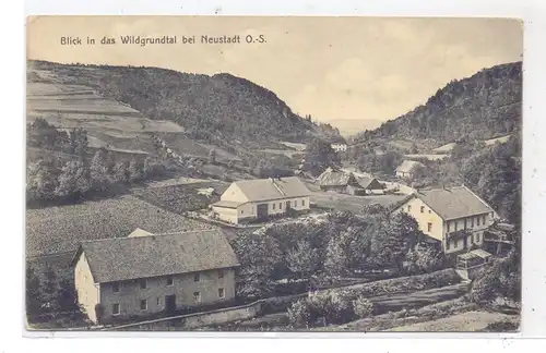 OBER-SCHLESIEN - NEUSTADT / PRUDNIK, Wildgrundtal