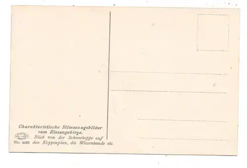 NIEDER - SCHLESIEN, SCHNEEKOPPE / SNIEZKA, Blick von der Schneekoppe auf den Koppenplan und die Wiesenbaude