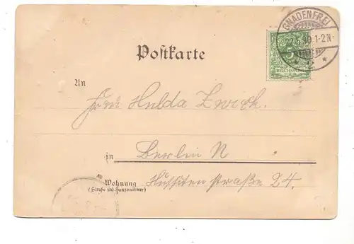 NIEDER-SCHLESIEN - GNADENFREI / PILAWA GORNA, Gruss vom Kleutschberg, Lithographie 1899, Druckstellen