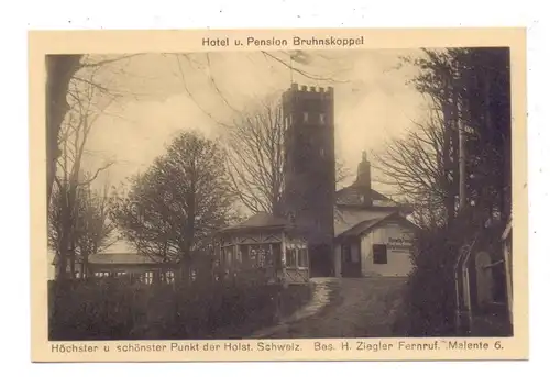 2427 MALENTE, Hotel und Pension Bruhnskoppel