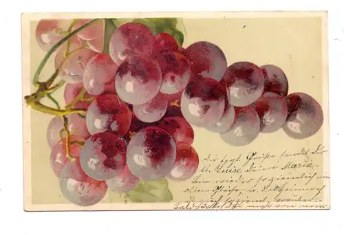 KÜNSTLER / ARTIST - CATHARINA KLEIN, Trauben, 1904