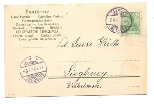 KÜNSTLER / ARTIST - CATHARINA KLEIN, Trauben, 1904