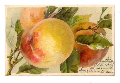 KÜNSTLER / ARTIST - CATHARINA KLEIN, Pfirsiche, 1904