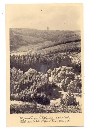 5942 KIRCHHUNDEM - OBERHUNDEM, Risperwald, 1949