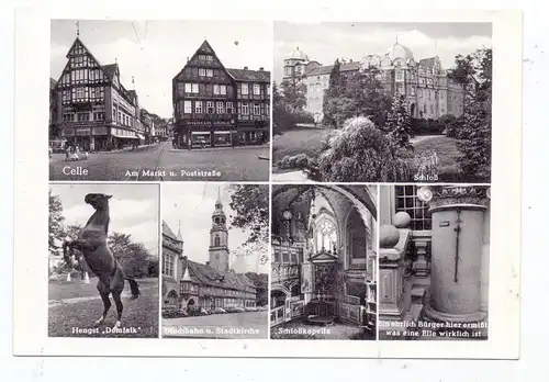 3100 CELLE, Markt, Poststrasse, Schloß, Hengst "Domfalk", Stechbahn, Schloßkapelle, Elle