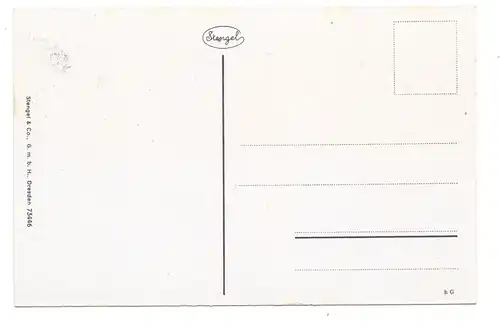 NIEDER-SCHLESIEN - BAD LANDECK / LADEK ZDROJ, Johannesbrücke, Stengel