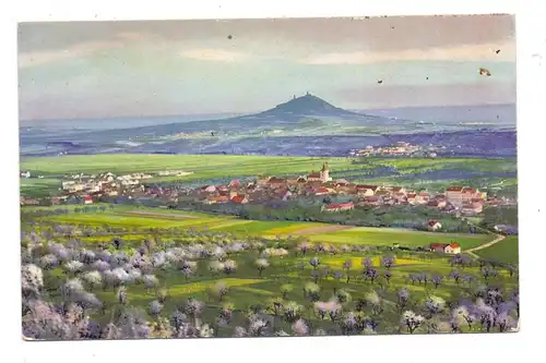 NIEDER-SCHLESIEN - TREBNITZ / TRZEBENICA, Panorama mit Hasenberg, Photochromia-Karte, Österr. Feldpost Radom