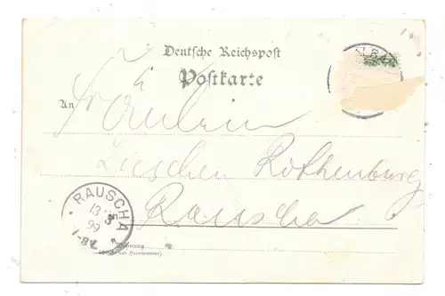 NIEDER - SCHLESIEN - HALBAU / ILOWA, Kreis Sagan, Lithographie 1899, Gasthaus, Bahnhof, Post, Kirche, Schloss