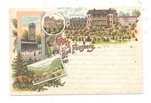 NIEDER - SCHLESIEN - BAD FLINSBERG / SWIERADOW ZDROJ, Lithographie 1897, Kaiser Wilhelm Garten, Ruine...