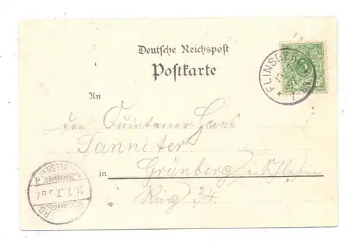 NIEDER - SCHLESIEN - BAD FLINSBERG / SWIERADOW ZDROJ, Lithographie 1897, Kaiser Wilhelm Garten, Ruine...
