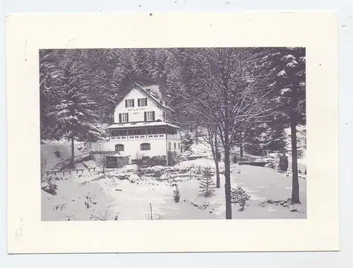 F 90200 LEPUIX-GY, Hotel Restaurant du Saul de la Truite