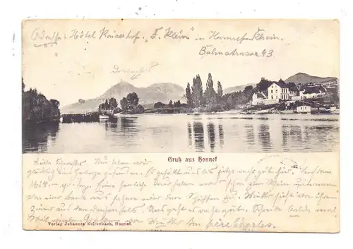 5340 BAD HONNEF, Blick von den Inseln, 1905