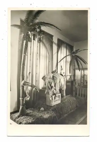 SPIELZEUG / Toys - Deutsches Spielzeugmuseum Sonneberg, bewegliche Elefantengruppe