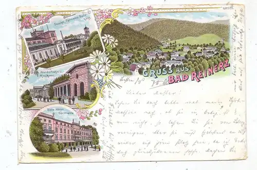 NIEDERSCHLESIEN - BAD REINERZ / DUSZNIKI ZDROJ, Lithographie 1899, Bade Hotel Germania, Douche, Musiksaal, Wandelbahn